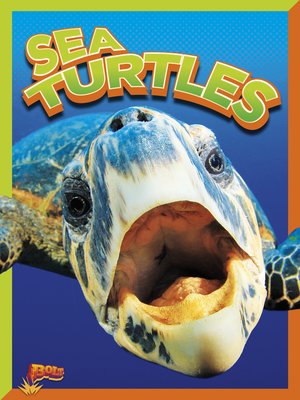 cover image of Sea Turtles